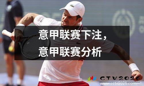 意甲联赛下注，意甲联赛分析