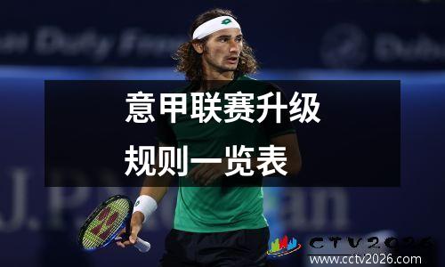 意甲联赛升级规则一览表