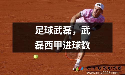 足球武磊，武磊西甲进球数