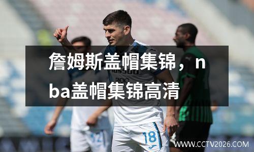 詹姆斯盖帽集锦，nba盖帽集锦高清