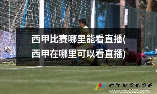 西甲比赛哪里能看直播(西甲在哪里可以看直播)