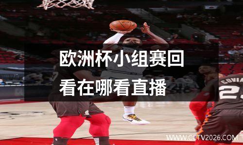 欧洲杯小组赛回看在哪看直播