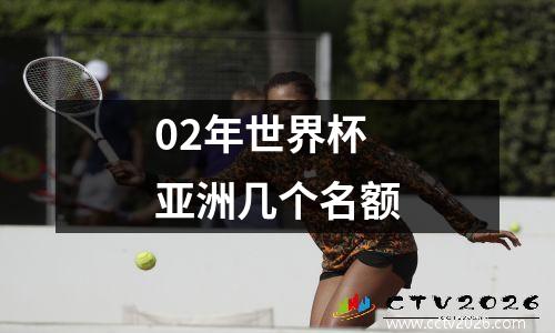 02年世界杯亚洲几个名额