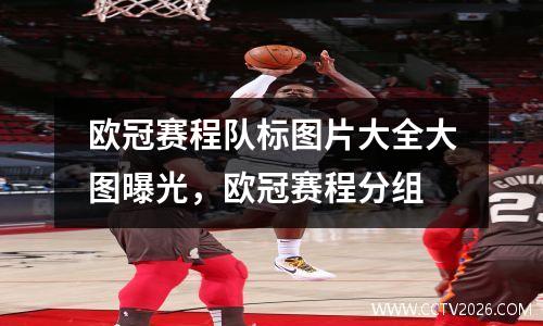 欧冠赛程队标图片大全大图曝光，欧冠赛程分组