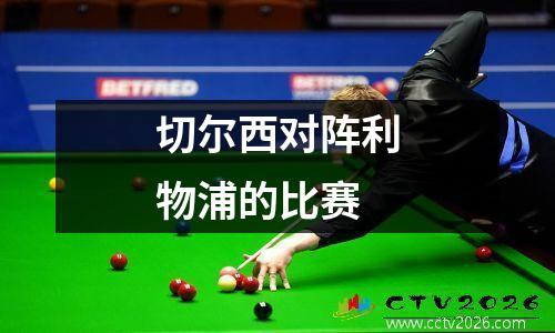 切尔西对阵利物浦的比赛