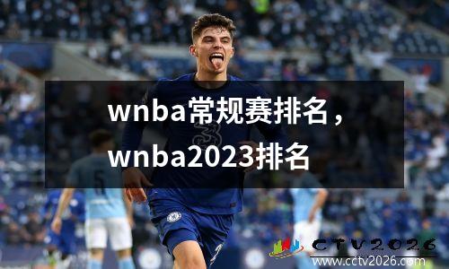 wnba常规赛排名，wnba2023排名