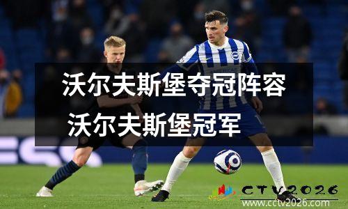 沃尔夫斯堡夺冠阵容 沃尔夫斯堡冠军