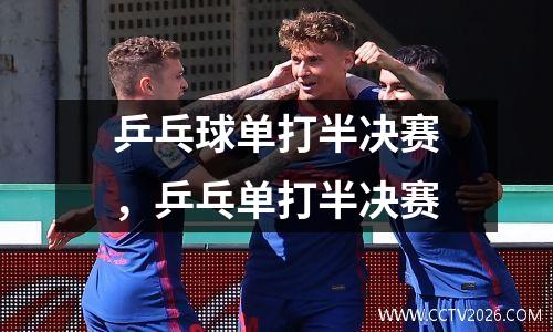 乒乓球单打半决赛，乒乓单打半决赛