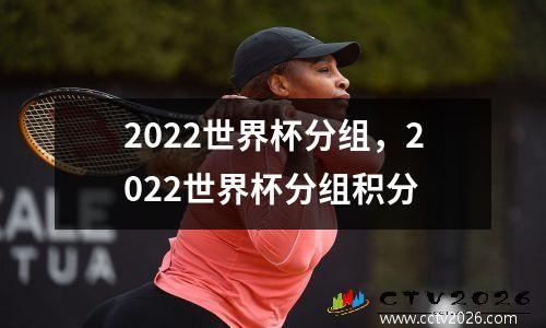 2022世界杯分组，2022世界杯分组积分