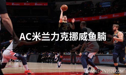 AC米兰力克挪威鱼腩