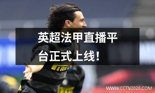英超法甲直播平台正式上线！
