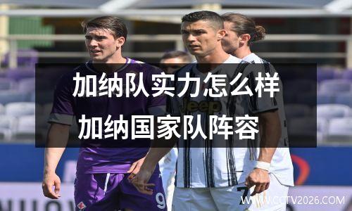 加纳队实力怎么样 加纳国家队阵容