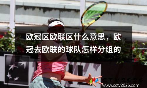 欧冠区欧联区什么意思，欧冠去欧联的球队怎样分组的