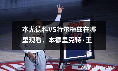 本尤德科VS特尔梅兹在哪里观看，本德里克特·王