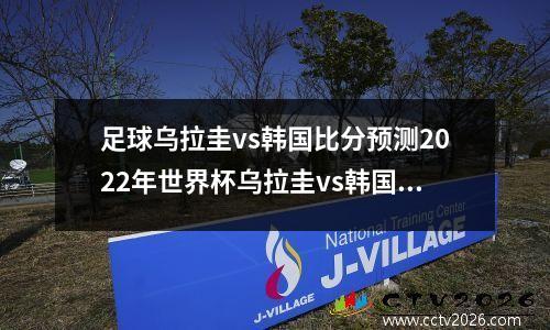 足球乌拉圭vs韩国比分预测2022年世界杯乌拉圭vs韩国谁厉，乌拉圭国家队比赛