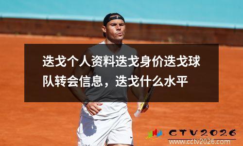 迭戈个人资料迭戈身价迭戈球队转会信息，迭戈什么水平
