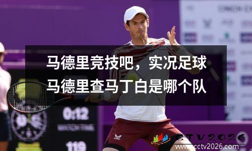 马德里竞技吧，实况足球马德里查马丁白是哪个队
