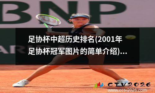 足协杯中超历史排名(2001年足协杯冠军图片的简单介绍)，中国足协杯历届冠军榜