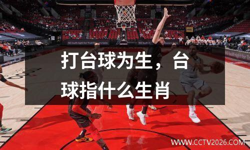 打台球为生，台球指什么生肖