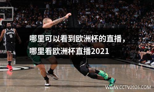 哪里可以看到欧洲杯的直播，哪里看欧洲杯直播2021