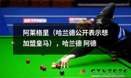 阿莱格里（哈兰德公开表示想加盟皇马），哈兰德 阿德