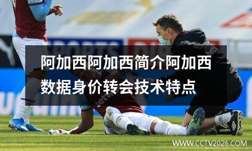 阿加西阿加西简介阿加西数据身价转会技术特点