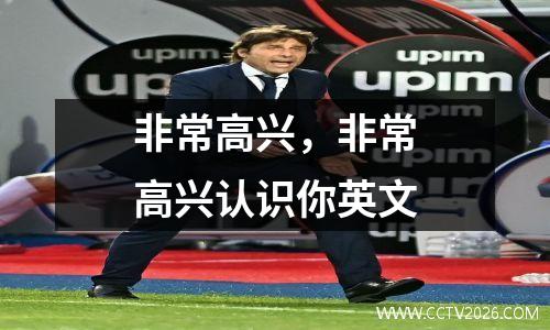 非常高兴，非常高兴认识你英文