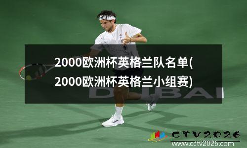 2000欧洲杯英格兰队名单(2000欧洲杯英格兰小组赛)