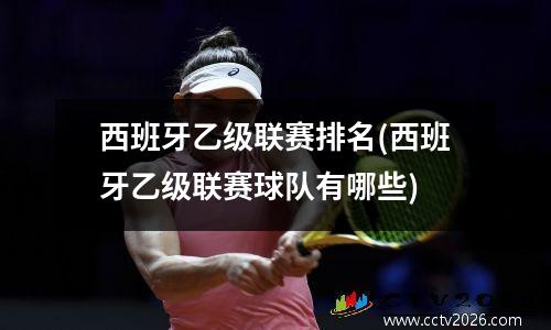 西班牙乙级联赛排名(西班牙乙级联赛球队有哪些)