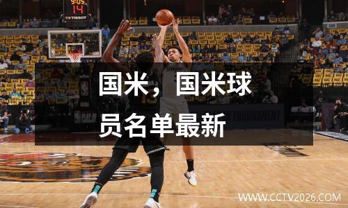 国米，国米球员名单最新