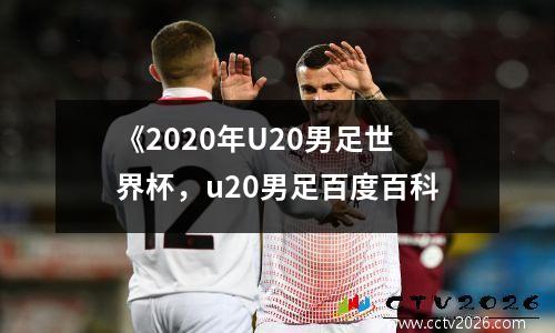 《2020年U20男足世界杯，u20男足百度百科