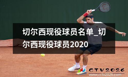 切尔西现役球员名单_切尔西现役球员2020
