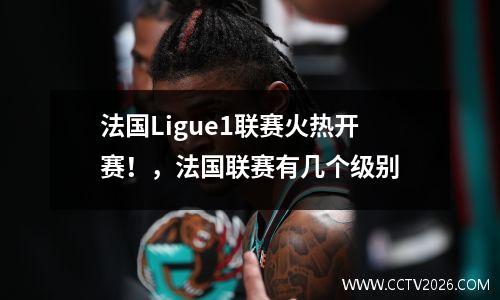 法国Ligue1联赛火热开赛！，法国联赛有几个级别
