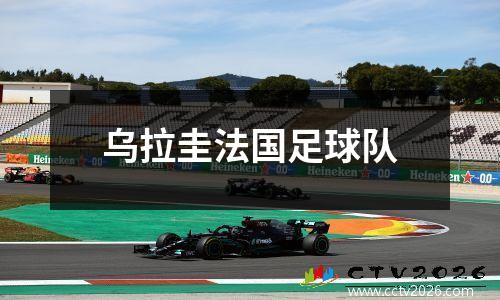 乌拉圭法国足球队