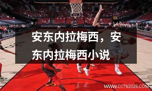安东内拉梅西，安东内拉梅西小说