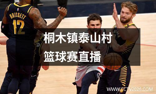 桐木镇泰山村篮球赛直播