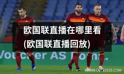欧国联直播在哪里看(欧国联直播回放)