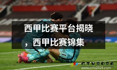 西甲比赛平台揭晓，西甲比赛锦集