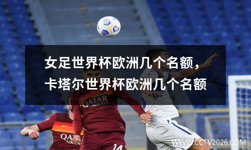 女足世界杯欧洲几个名额，卡塔尔世界杯欧洲几个名额