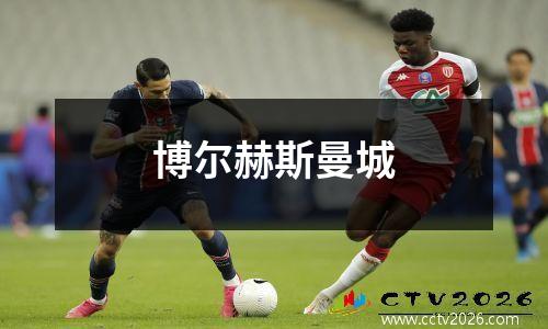博尔赫斯曼城