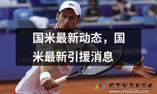 国米最新动态，国米最新引援消息