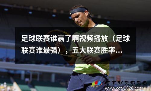 足球联赛谁赢了啊视频播放（足球联赛谁最强），五大联赛胜率最高的足球运动员