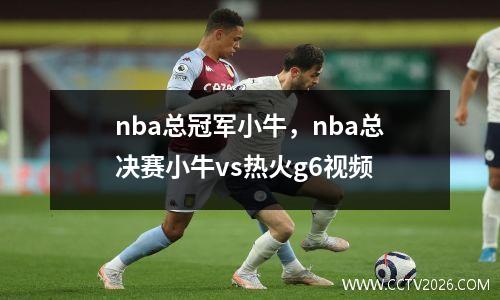 nba总冠军小牛，nba总决赛小牛vs热火g6视频