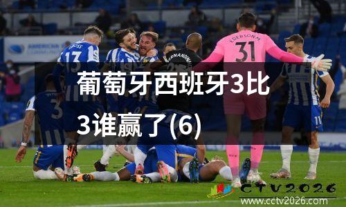 葡萄牙西班牙3比3谁赢了(6)
