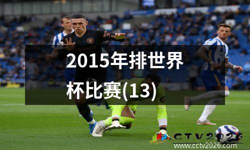 2015年排世界杯比赛(13)
