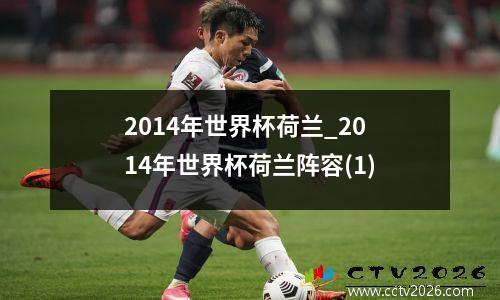 2014年世界杯荷兰_2014年世界杯荷兰阵容(1)