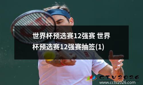 世界杯预选赛12强赛 世界杯预选赛12强赛抽签(1)