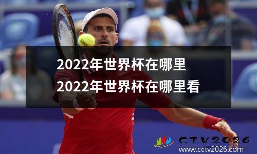 2022年世界杯在哪里 2022年世界杯在哪里看