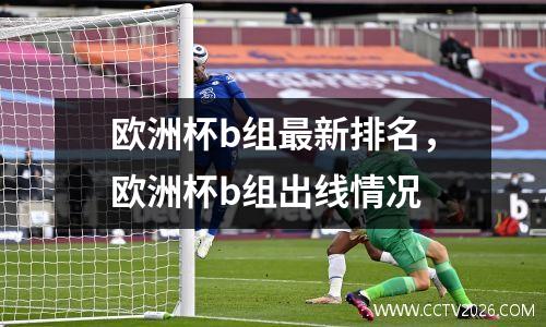 欧洲杯b组最新排名，欧洲杯b组出线情况