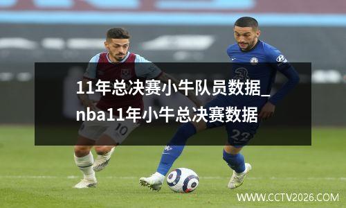 11年总决赛小牛队员数据_nba11年小牛总决赛数据